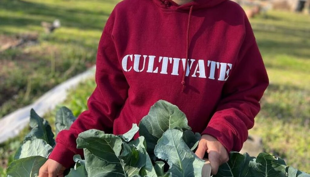cultivate
